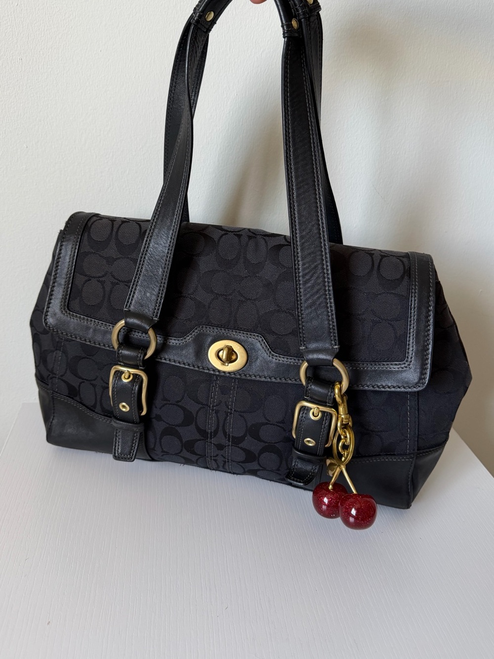 Coach Signature Hampton Flap Bag 11061